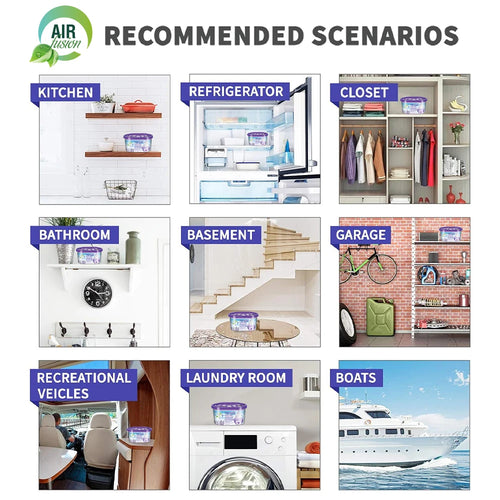 Moisture Absorber & Odor Eliminator