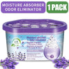Moisture Absorber & Odor Eliminator