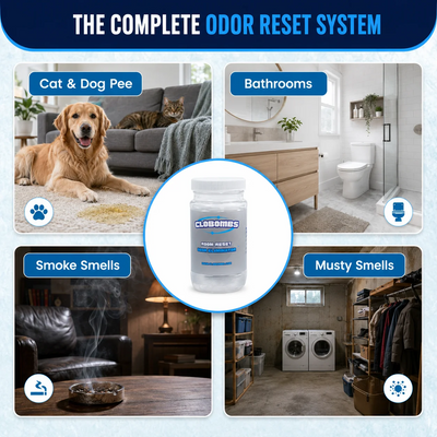 Complete odor reset system